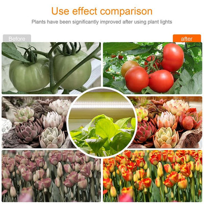 Full Spectrum Indoor LED Grow Light USB Timer Phytolamp For Hydroponics Seedlings Herbs  Houseplant 4