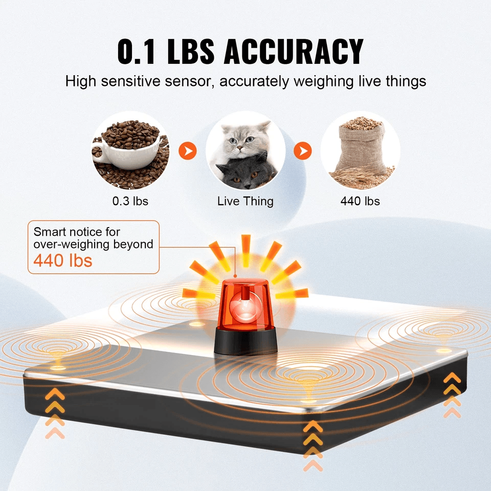 Digital Shipping Scale Postal Scale With LCD ACDC Dual Power  Stainless Steel Platform 2