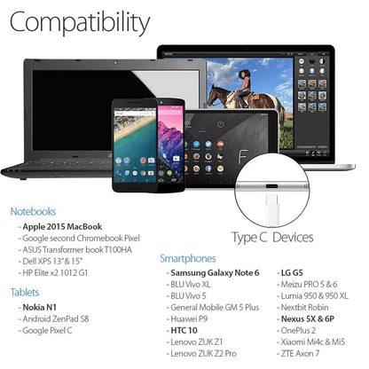 USB C Type C SyncCharge Cable With Fast Wall Charger High Speed Power  Data 2