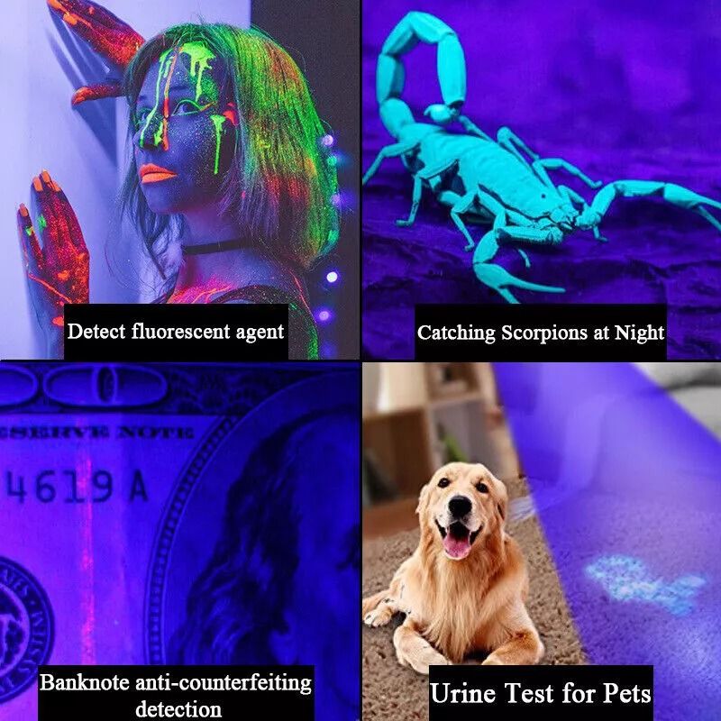 Powerful UV Torch Flashlight 120000LM Ultra Violet Blacklight LED Lamp For Professional Use 5