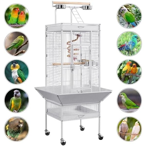 61 Large Bird Cage with Play Top Spacious Parrot Cage for Finch, Cockatoo, Budgie & Conure Includes Stand, Wheels. Toys