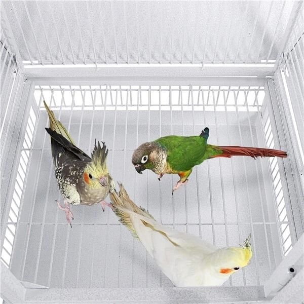 61 Large Bird Cage With Play Top Spacious Parrot Cage For Finch Cockatoo Budgie  Conure Includes St 3