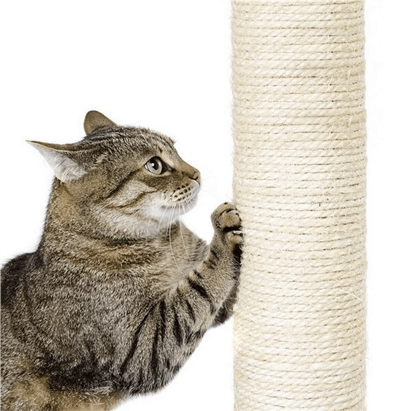 Cat Tree Tower Condo Activity Centre For Indoor Cats MultiLevel Scratching Post Kitten Playhouse  C 5