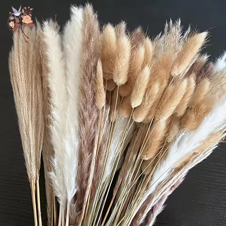 Natural Dried Pampas Grass Bouquet – Boho Bunny Tail Flowers for Home, Wedding, and Vase Decor