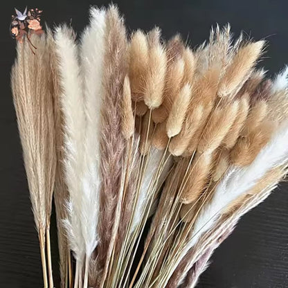Natural Dried Pampas Grass Bouquet – Boho Bunny Tail Flowers for Home, Wedding, and Vase Decor