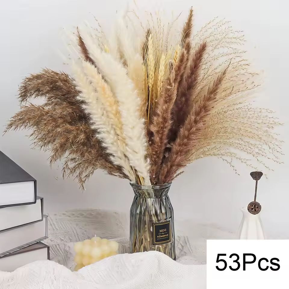 Natural Dried Pampas Grass Bouquet  Boho Bunny Tail Flowers For Home Wedding And Vase Decor 12