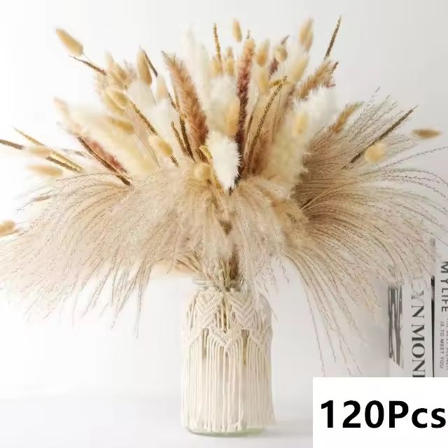 Natural Dried Pampas Grass Bouquet  Boho Bunny Tail Flowers For Home Wedding And Vase Decor 15