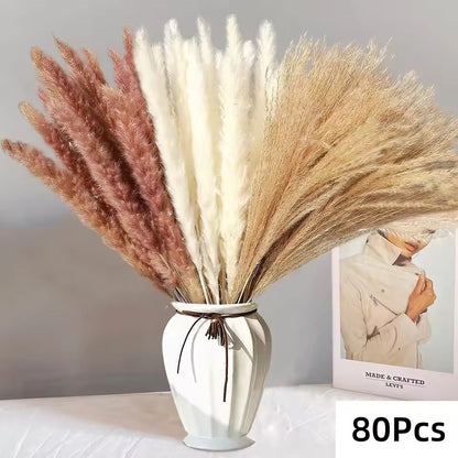 Natural Dried Pampas Grass Bouquet  Boho Bunny Tail Flowers For Home Wedding And Vase Decor 16
