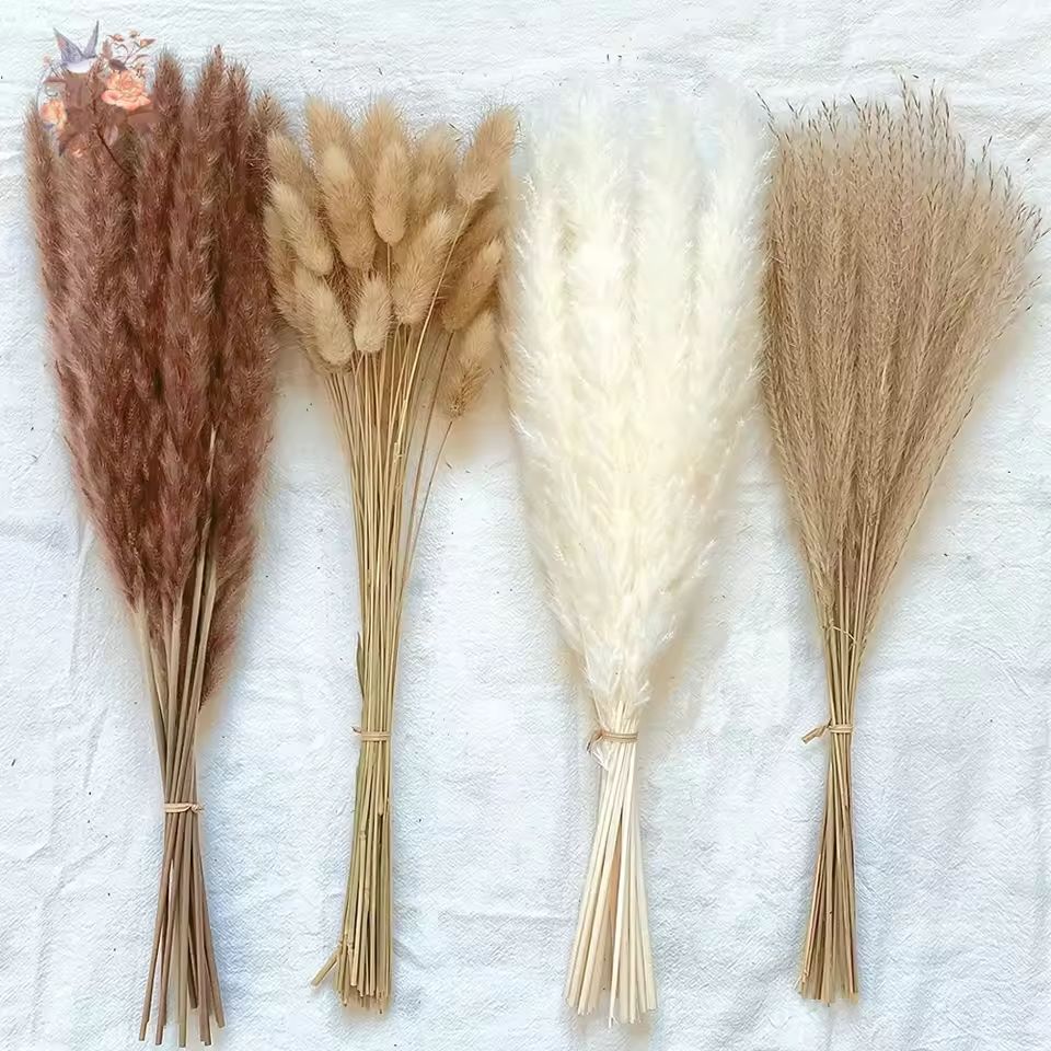 Natural Dried Pampas Grass Bouquet  Boho Bunny Tail Flowers For Home Wedding And Vase Decor 1