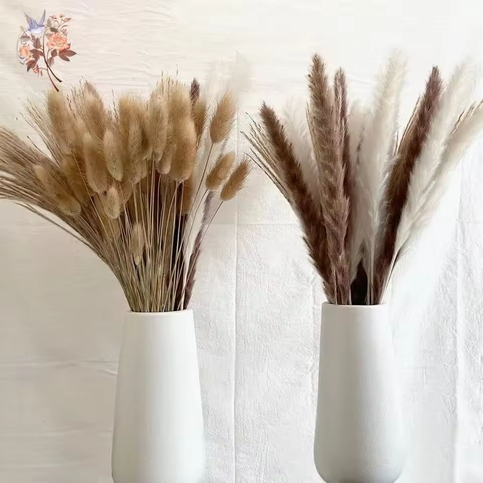 Natural Dried Pampas Grass Bouquet  Boho Bunny Tail Flowers For Home Wedding And Vase Decor 2
