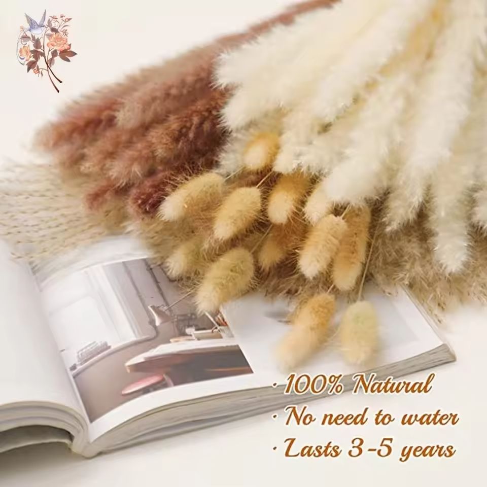 Natural Dried Pampas Grass Bouquet  Boho Bunny Tail Flowers For Home Wedding And Vase Decor 3