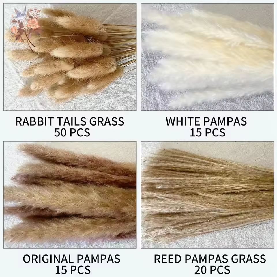 Natural Dried Pampas Grass Bouquet  Boho Bunny Tail Flowers For Home Wedding And Vase Decor 4
