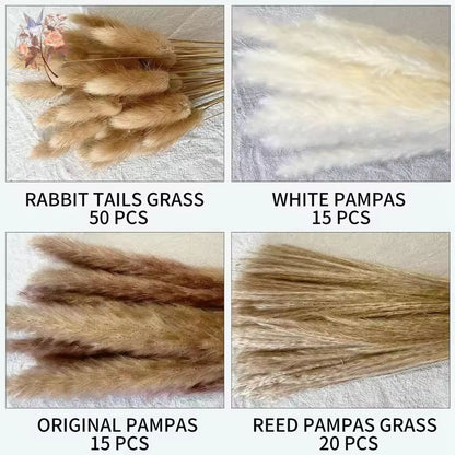 Natural Dried Pampas Grass Bouquet  Boho Bunny Tail Flowers For Home Wedding And Vase Decor 4