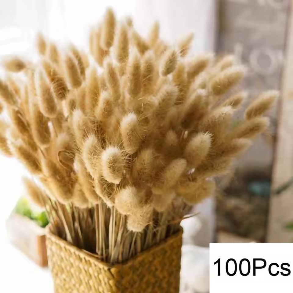 Natural Dried Pampas Grass Bouquet  Boho Bunny Tail Flowers For Home Wedding And Vase Decor 20