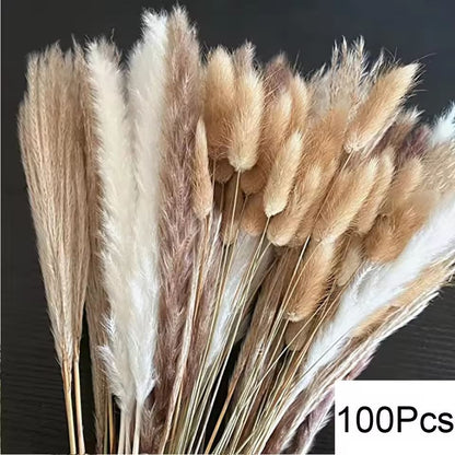 Natural Dried Pampas Grass Bouquet  Boho Bunny Tail Flowers For Home Wedding And Vase Decor 6