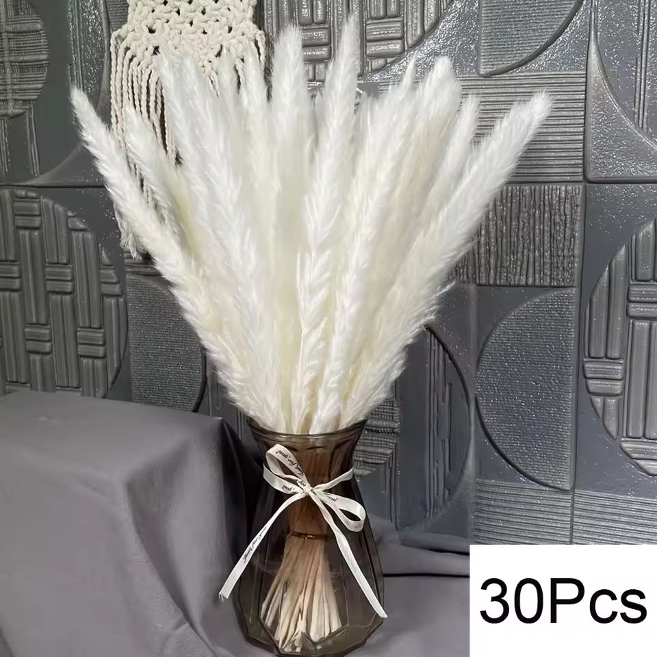 Natural Dried Pampas Grass Bouquet  Boho Bunny Tail Flowers For Home Wedding And Vase Decor 18