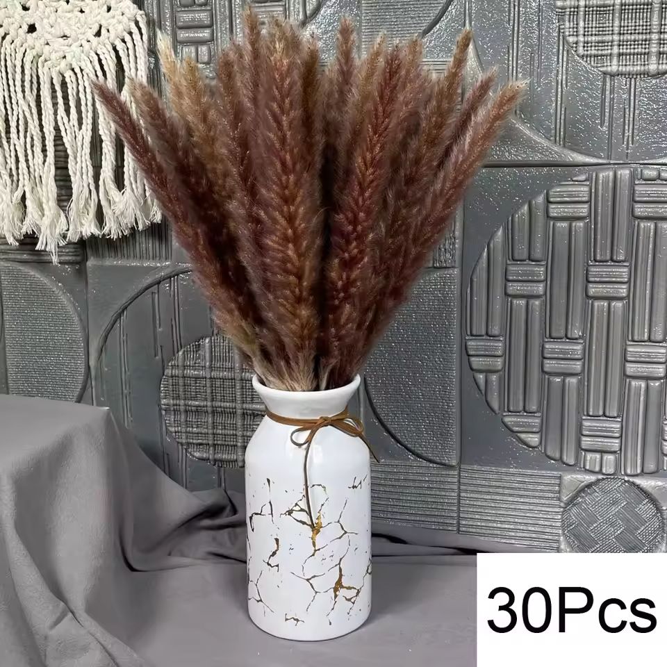 Natural Dried Pampas Grass Bouquet  Boho Bunny Tail Flowers For Home Wedding And Vase Decor 19
