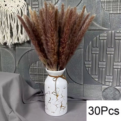 Natural Dried Pampas Grass Bouquet  Boho Bunny Tail Flowers For Home Wedding And Vase Decor 19