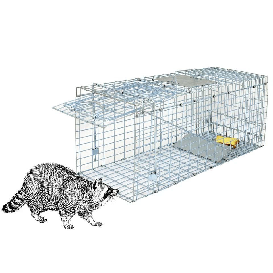 Heavy Duty Steel Humane Live Animal Trap Cage, Preassembled Wildlife Catch & Release