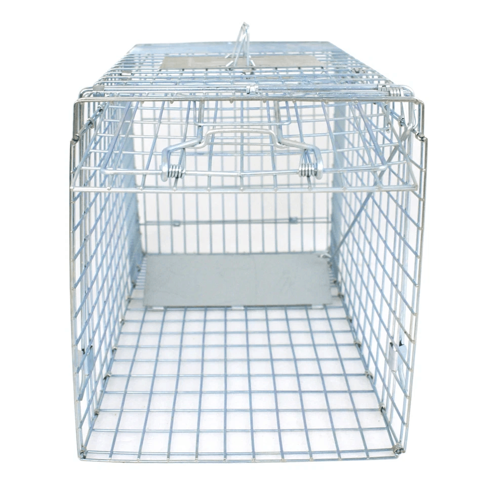 Heavy Duty Steel Humane Live Animal Trap Cage Preassembled Wildlife Catch  Release 3