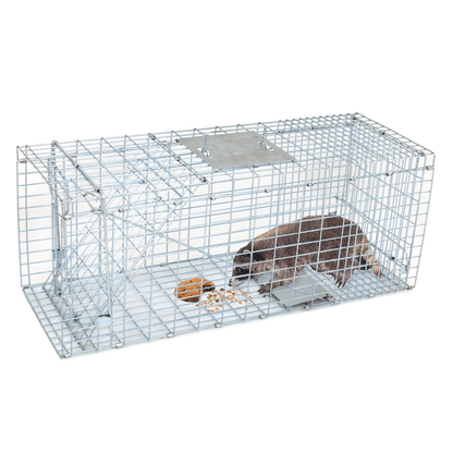 Heavy Duty Steel Humane Live Animal Trap Cage Preassembled Wildlife Catch  Release 2