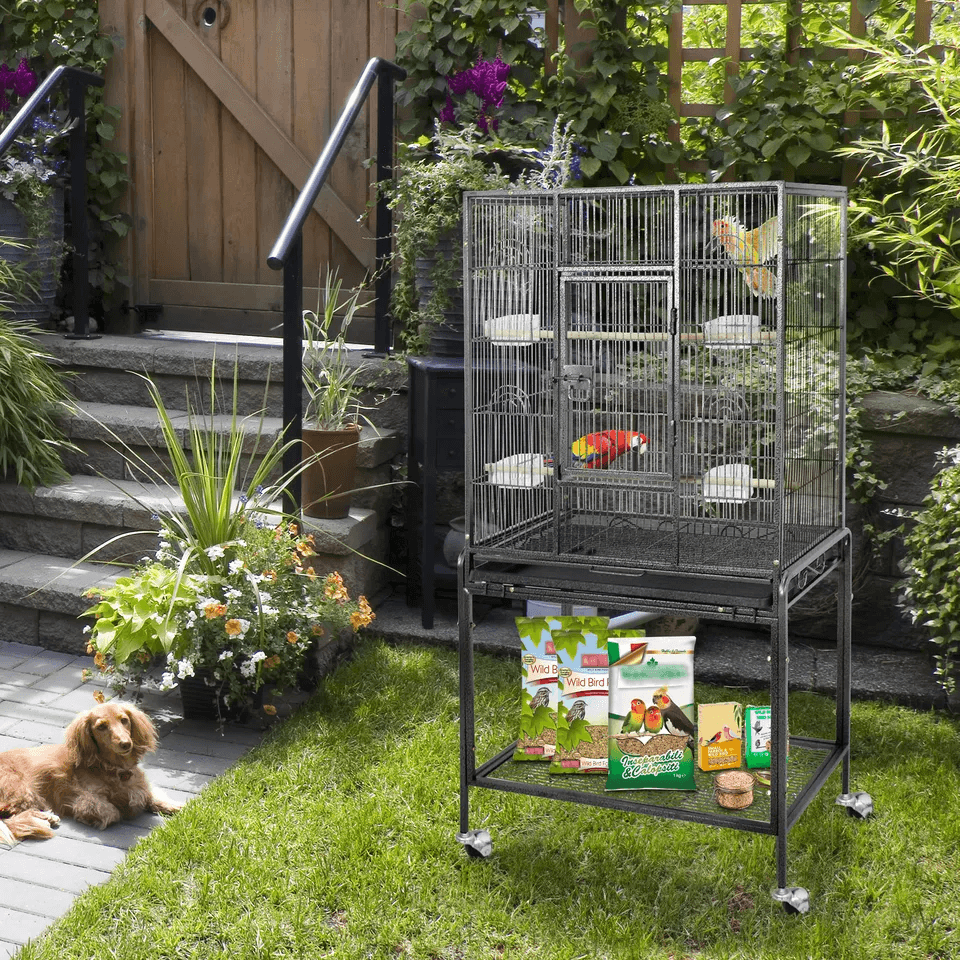 Large Bird Cage For Macaw Cockatoo Parrot  Finch Secure Locking Door Spacious Metal Aviary Durable  1