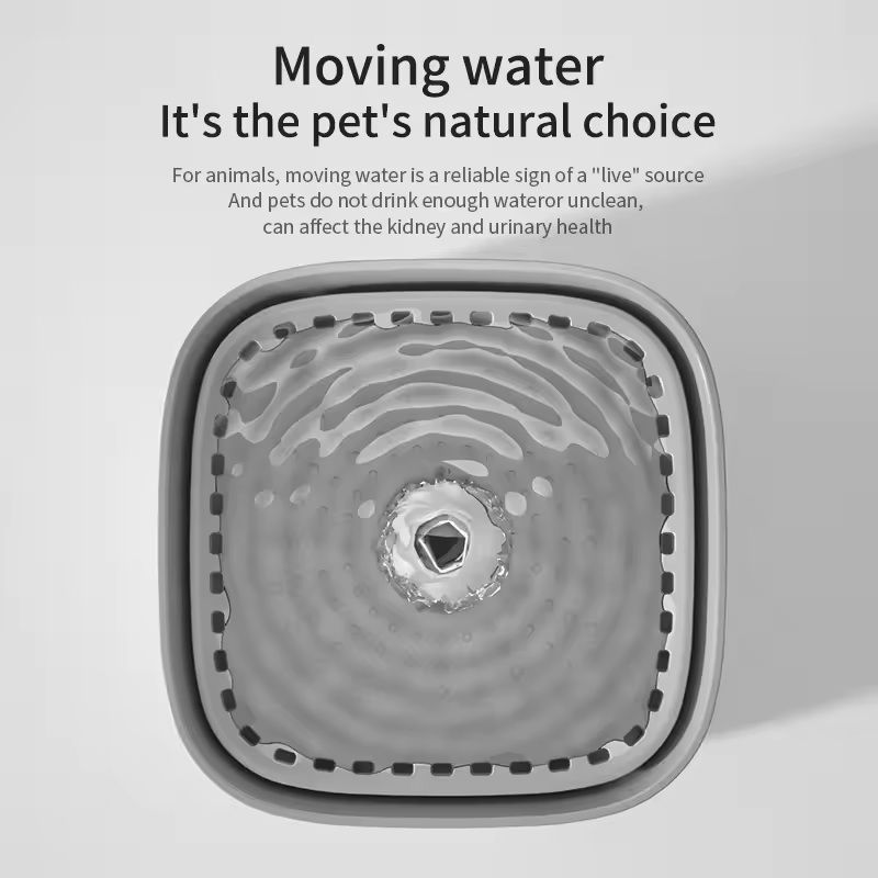 3L Cat Water Fountain With Recirculating Filter And USB Quiet Pump 2