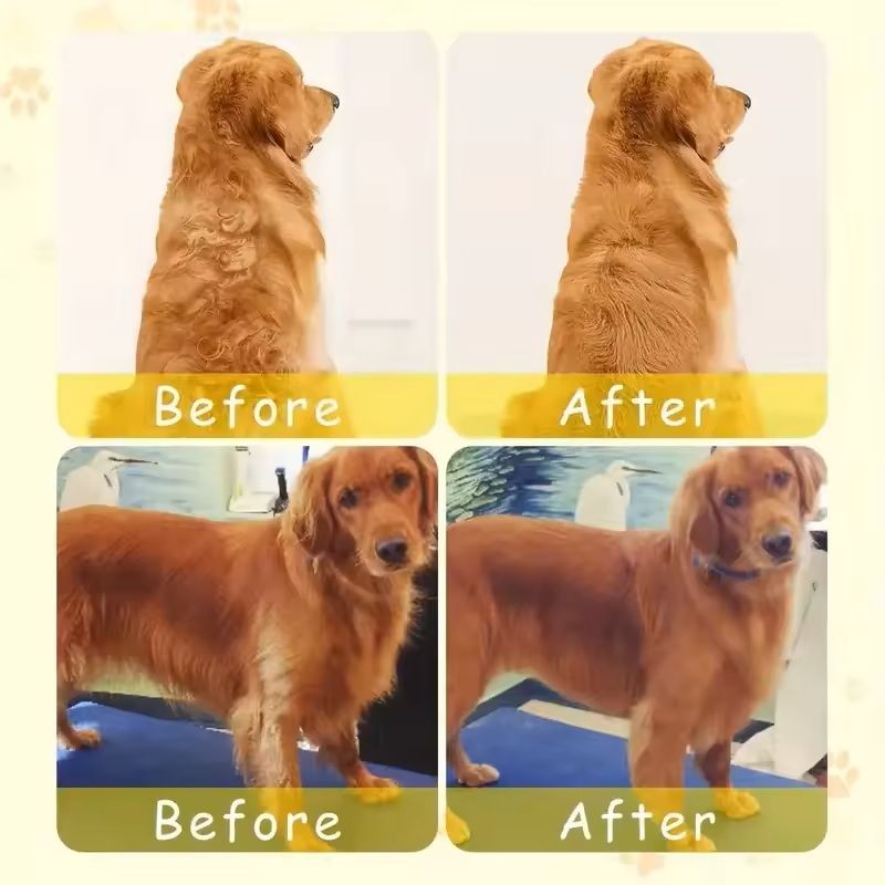 3 In 1 Steamy Pet Grooming Brush With Electric Spray For Detangling And Massage 3