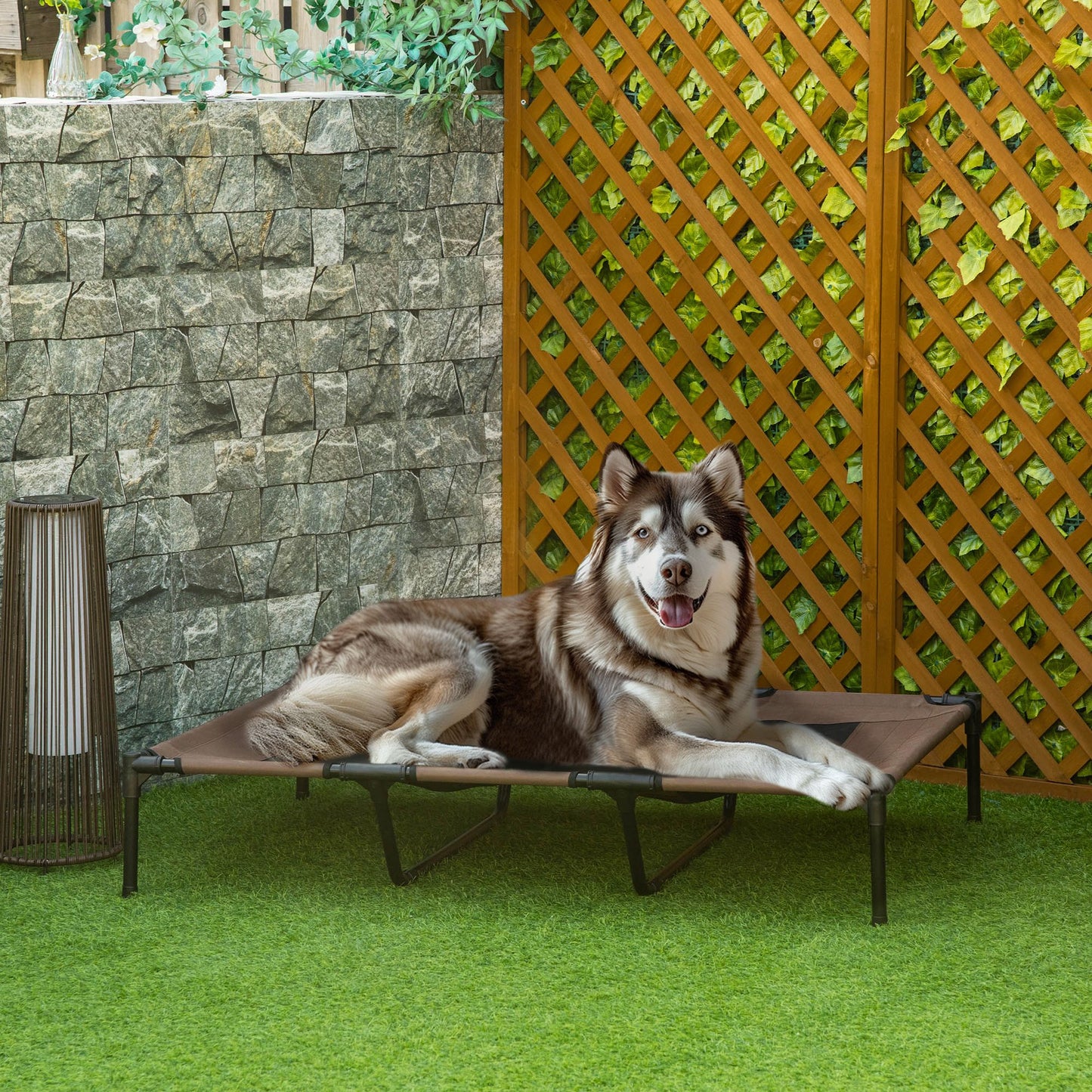 Elevated Dog Bed Raised Pet Cot With Oxford Fabric For Indoor  Outdoor Use 1