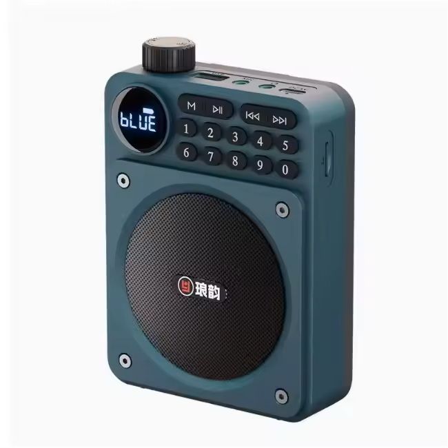 Mini Digital FM Radio With Bluetooth Speaker And USB TF Card Playback 11