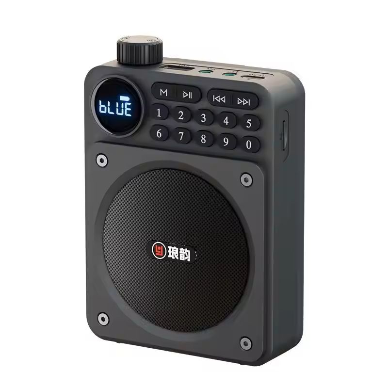 Mini Digital FM Radio With Bluetooth Speaker And USB TF Card Playback 6