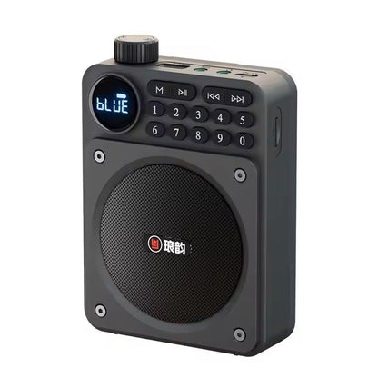 Mini Digital FM Radio With Bluetooth Speaker And USB TF Card Playback 6