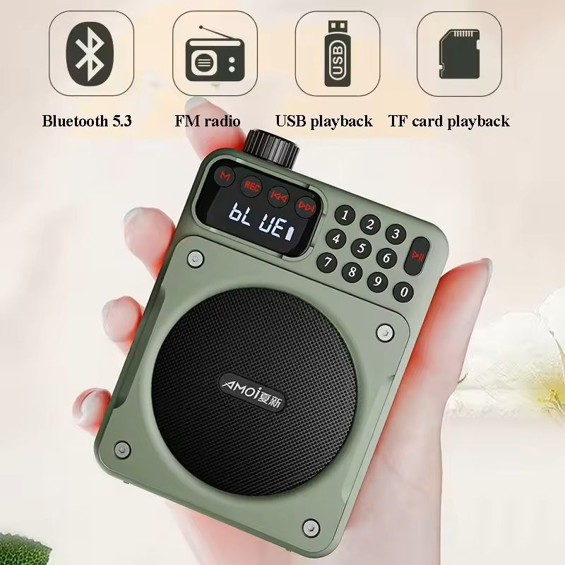 Mini Digital FM Radio with Bluetooth Speaker and USB TF Card Playback