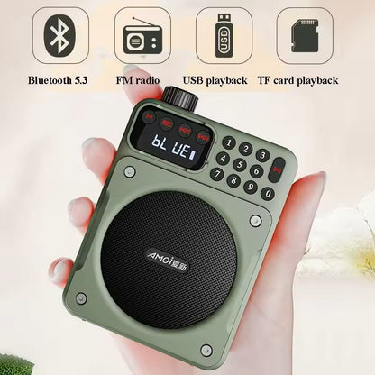 Mini Digital FM Radio with Bluetooth Speaker and USB TF Card Playback