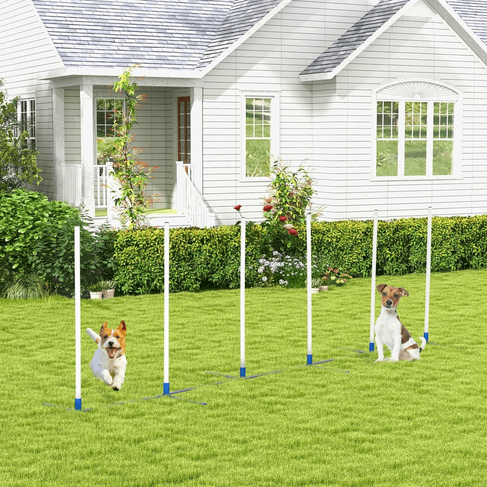 Premium Dog Weave Pole Set Agility Starter Kit Outdoor Pet Training  Exercise Equipment 4