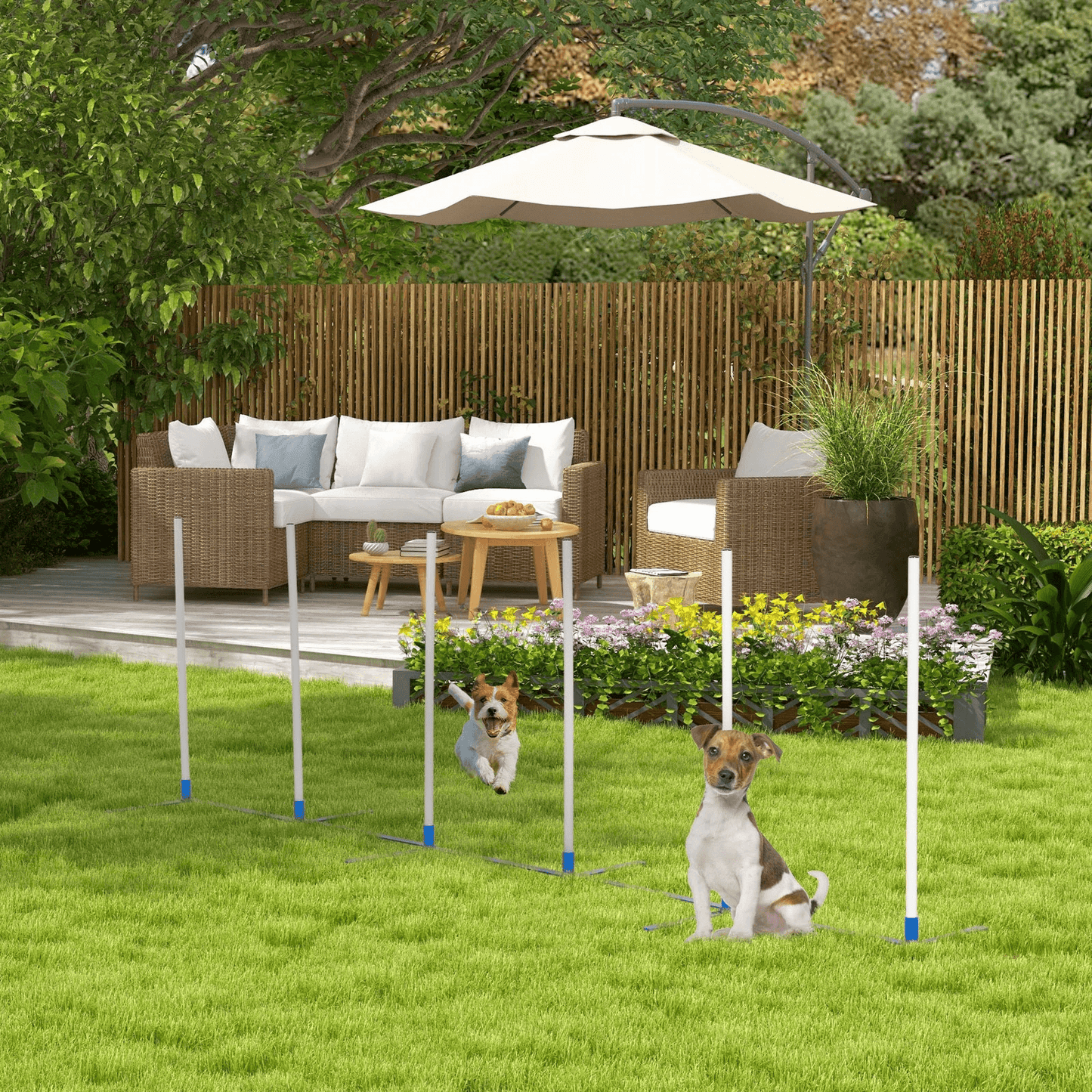 Premium Dog Weave Pole Set Agility Starter Kit, Outdoor Pet Training & Exercise Equipment