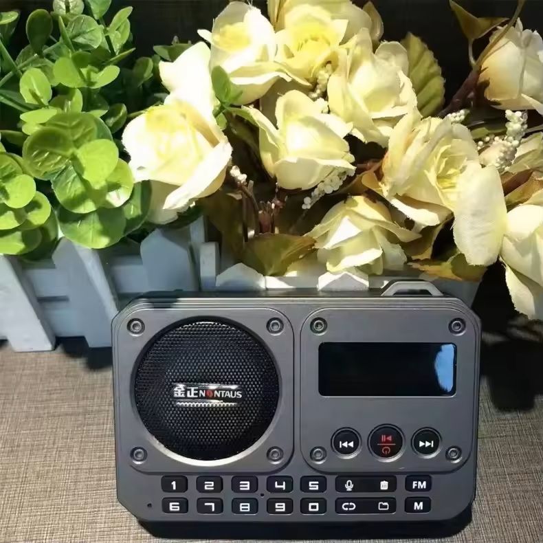 Mini FM Radio With Bluetooth Speaker And LED Display 6