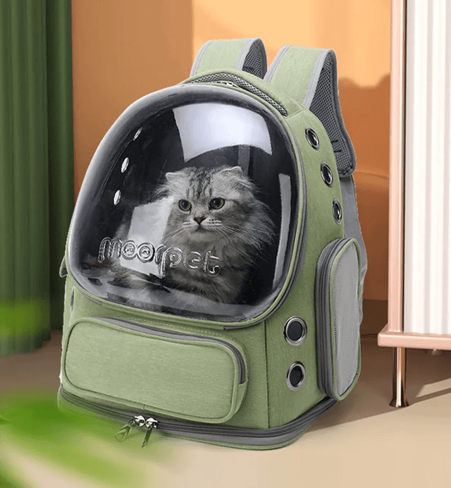 Transparent Cat Carrier Backpack For Travel With Breathable Design 2