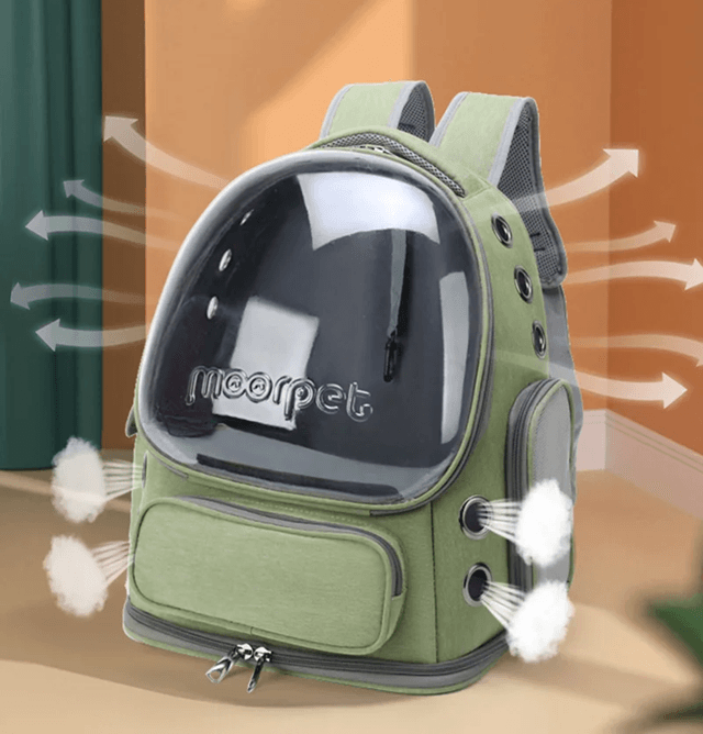 Transparent Cat Carrier Backpack For Travel With Breathable Design 1