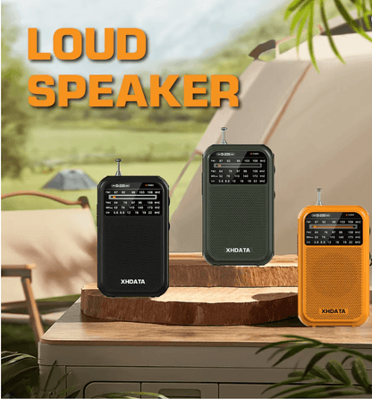 XHDATA D220 Portable Retro Radio with FM MW SW and High Sensitivity DSP