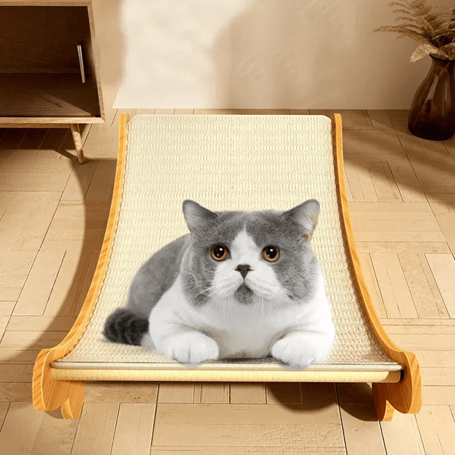 2 In 1 Wooden Cat Scratcher Bed Cozy Lounge And Scratch Pad For Indoor Cats 1