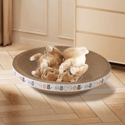 Round Cat Scratcher Bed with Cardboard Scratch Pad for Indoor Cats