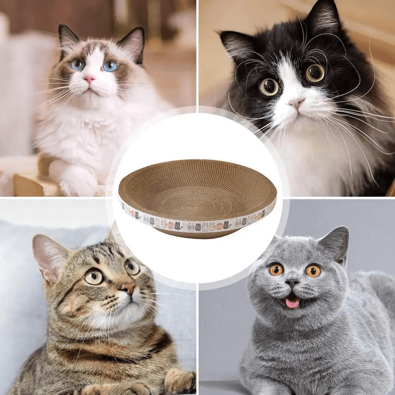 Round Cat Scratcher Bed With Cardboard Scratch Pad For Indoor Cats 3