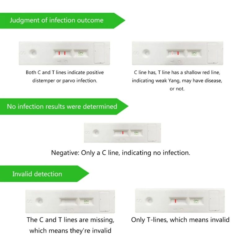 Canine Home Health Test Distemper  Parvovirus Detection For Cats  Dogs 3
