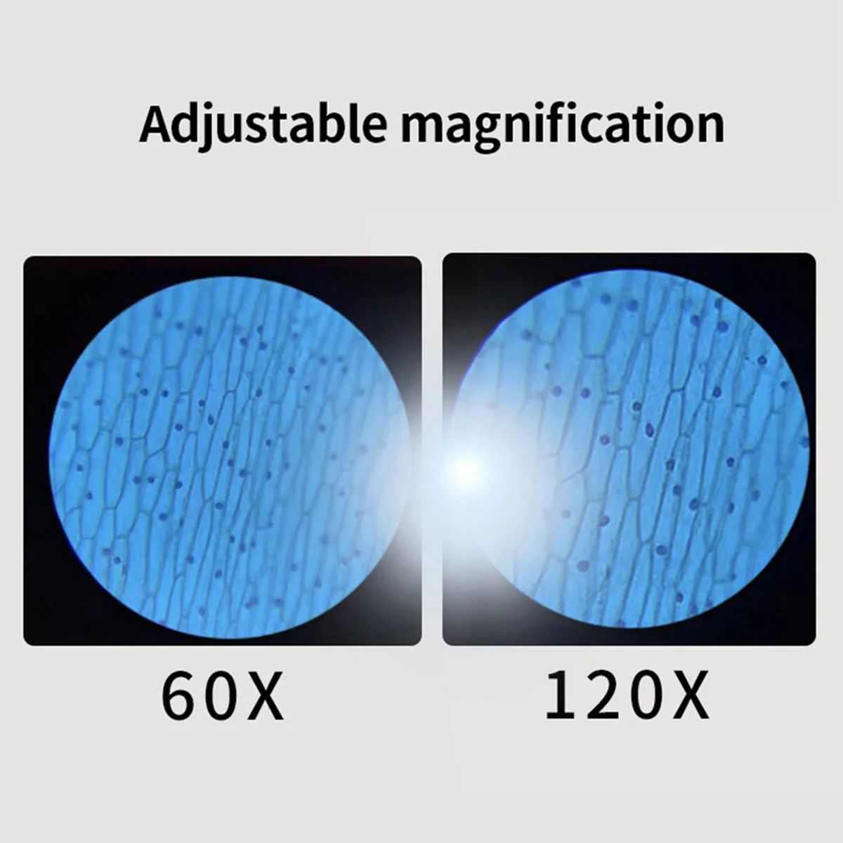 Educational Mini Handheld Microscope With LED Light Battery Powered Kid Science Experiment Pocket M 3