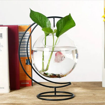Suspended Transparent Hanging Glass Fish Tank Infusion Bottle Aquarium 5