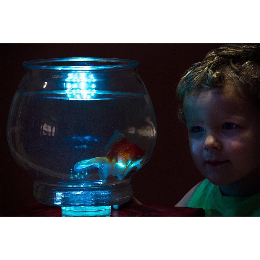 Waterproof RGB LED Accent Lights 1