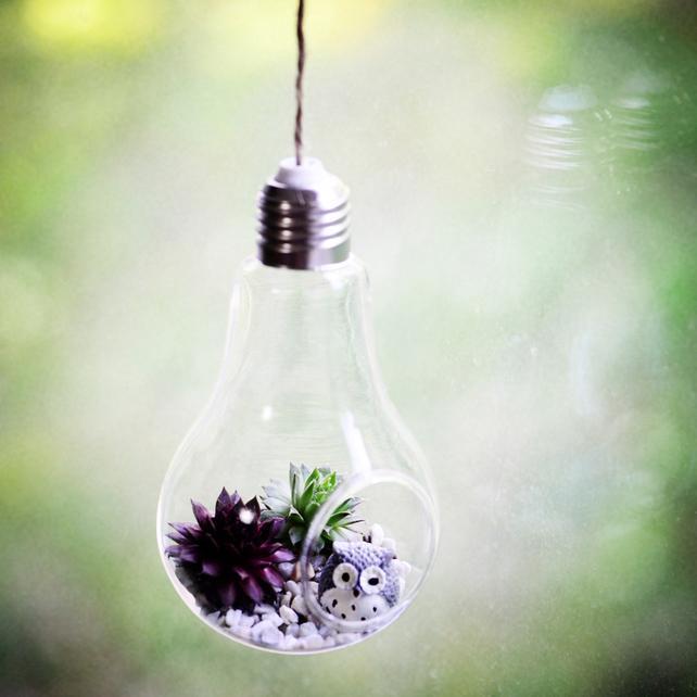 Modern Light Bulb Planter 4